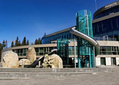 Найбільший критий аквапарк Східної Європи “Мавка” у селі Поляниця Івано-Франківської області, на території туристичного комплексу «Буковель»